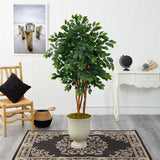 55” Sakaki Artificial Tree in Decorative Urn
