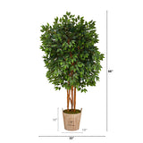 5.5’ Super Deluxe Ficus Artificial Tree in Decorative Rustic Planter
