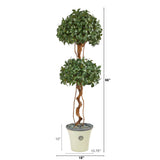 5.5’ Sweet Bay Double Ball Topiary Artificial Tree in Decorative Planter
