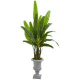 5.5’ Traveler's Palm Artificial Tree in Gray Urn