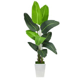 5.5’ Traveler's Palm Artificial Tree in White Metal Planter