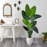 5.5’ Traveler's Palm Artificial Tree in White Planter