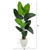 5.5’ Traveler's Palm Artificial Tree in White Planter