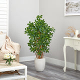 56” Black Olive Artificial Tree in White Planter