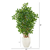 56” Black Olive Artificial Tree in White Planter