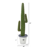 57” Cactus Artificial Plant in Decorative Planter