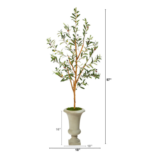 57” Olive Artificial Tree in Sand Colored Urn