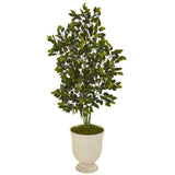 58” Ficus Artificial Tree in Decorative Urn