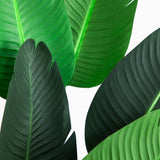 58” Traveler's Palm Artificial Tree