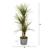 59” Yucca Artificial Tree in Black Embossed Tin Planter