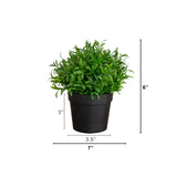 6” Artificial Grass Plant in Black Pot - Set of 2