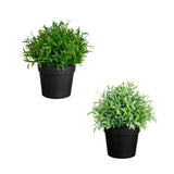 6” Artificial Grass Plant in Black Pot - Set of 2