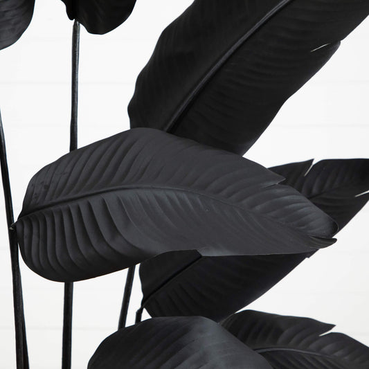 6' Artificial Halloween Black Traveler's Palm Tree