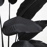 6' Artificial Halloween Black Traveler's Palm Tree