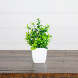 6” Artificial Mixed Botanical Plant in White Square Pot - Set of 4
