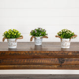 6" Artificial Mixed Button Pom Plant in Rustic Flowers & Garden Planter -Set of 3