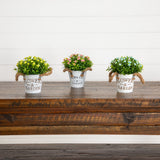 6" Artificial Mixed Button Pom Plant in Rustic Flowers & Garden Planter -Set of 3