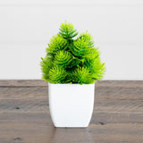 6” Artificial Mixed Succulent in White Square Pot - Set of 3