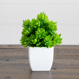 6” Artificial Mixed Succulent in White Square Pot - Set of 3