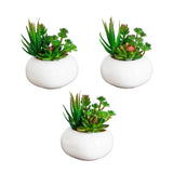 6" Artificial Succulent Garden in Ceramic White Planter - Set of 3