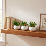 6" Artificial Succulent Garden in Ceramic White Planter - Set of 3