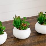 6" Artificial Succulent Garden in Ceramic White Planter - Set of 3