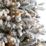 6' Aspen Mountain Fir Flocked Christmas Tree with 1198 Bendable Branches and 450 LED Lights