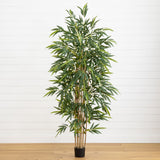 6' Bamboo Tree
