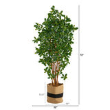 6’ Black Olive Artificial Tree in Handmade Natural Cotton Planter