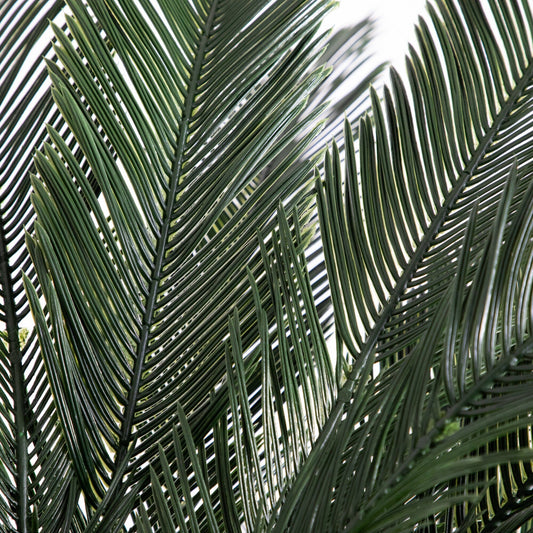 6’ Cycas Artificial Tree UV Resistant (Indoor/Outdoor)