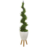 6’ Cypress Artificial Spiral Topiary Tree in White Planter with Stand