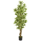 6’ Dracaena Reflexa Artificial Plant