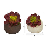 6” Echeveria Succulent Artificial Plant in Stone Planter (Set of 2)