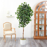 6’ Ficus Artificial Tree in White Tin Planter