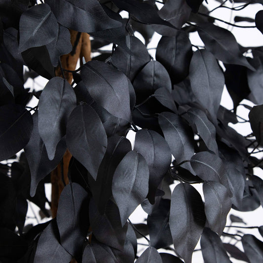 6' Artificial Halloween Black Ficus Tree with Natural Trunk