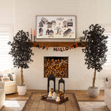 6' Artificial Halloween Black Ficus Tree with Natural Trunk