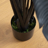 6' Artificial Halloween Black Traveler's Palm Tree