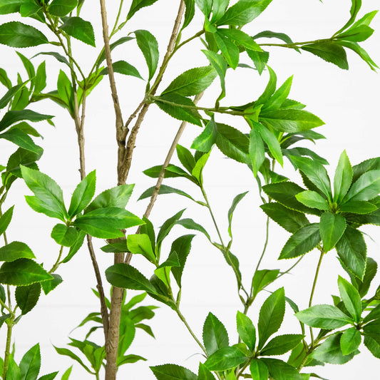6' Artificial Minimalist Japanese Pieris Tree