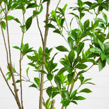 6' Artificial Minimalist Japanese Pieris Tree
