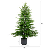 6' Artificial Real Touch Norfolk Island Pine Christmas Tree with Natural Look