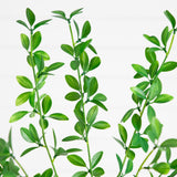 6' Artificial Shady Lady Black Olive Tree