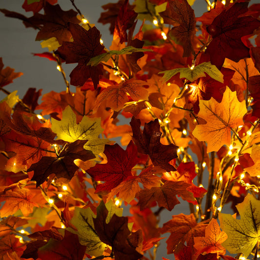 6' Pre-Lit Shades of Autumn Maple Artificial Fall Tree with 360 Warm White LED Lights