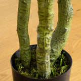 6' UV Resistant Artificial Bird Nest Fern Tree (Indoor/Outdoor)