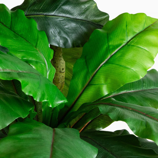 6' UV Resistant Artificial Bird Nest Fern Tree (Indoor/Outdoor)