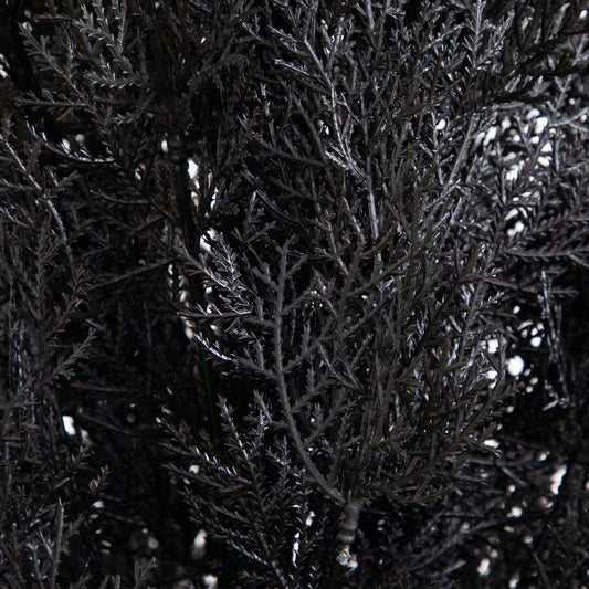 6' UV Resistant Artificial Halloween Black Cedar Tree (Indoor/Outdoor)