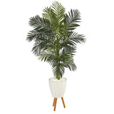 6’ Golden Cane Artificial Palm Tree in White Planter with Stand