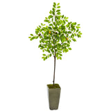 6’ Lemon Artificial Tree in Olive Green Planter