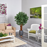 6’ Lychee Artificial Tree in Gray Planter with Stand