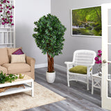 6’ Lychee Artificial Tree in White Planter