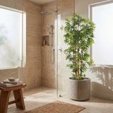 6' Multi Bambusa Bamboo Silk Tree